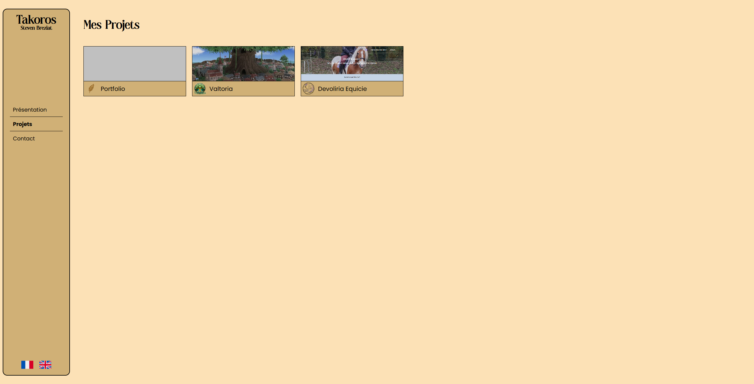 Portfolio's screenshot 2